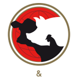 Bones And Meats
